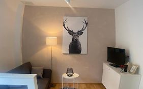 Appartement in Graz-Geidorf